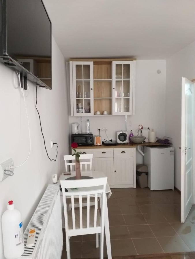 Sara House Daire Bistriţa Dış mekan fotoğraf