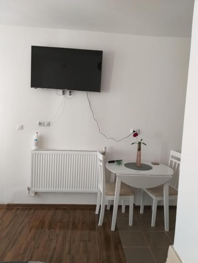 Sara House Daire Bistriţa Dış mekan fotoğraf
