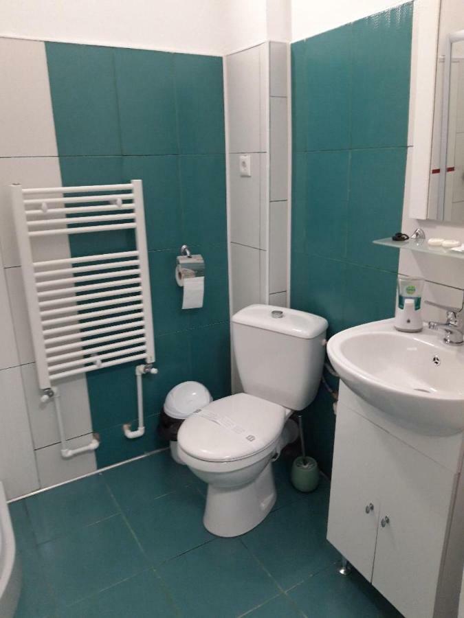 Sara House Daire Bistriţa Dış mekan fotoğraf